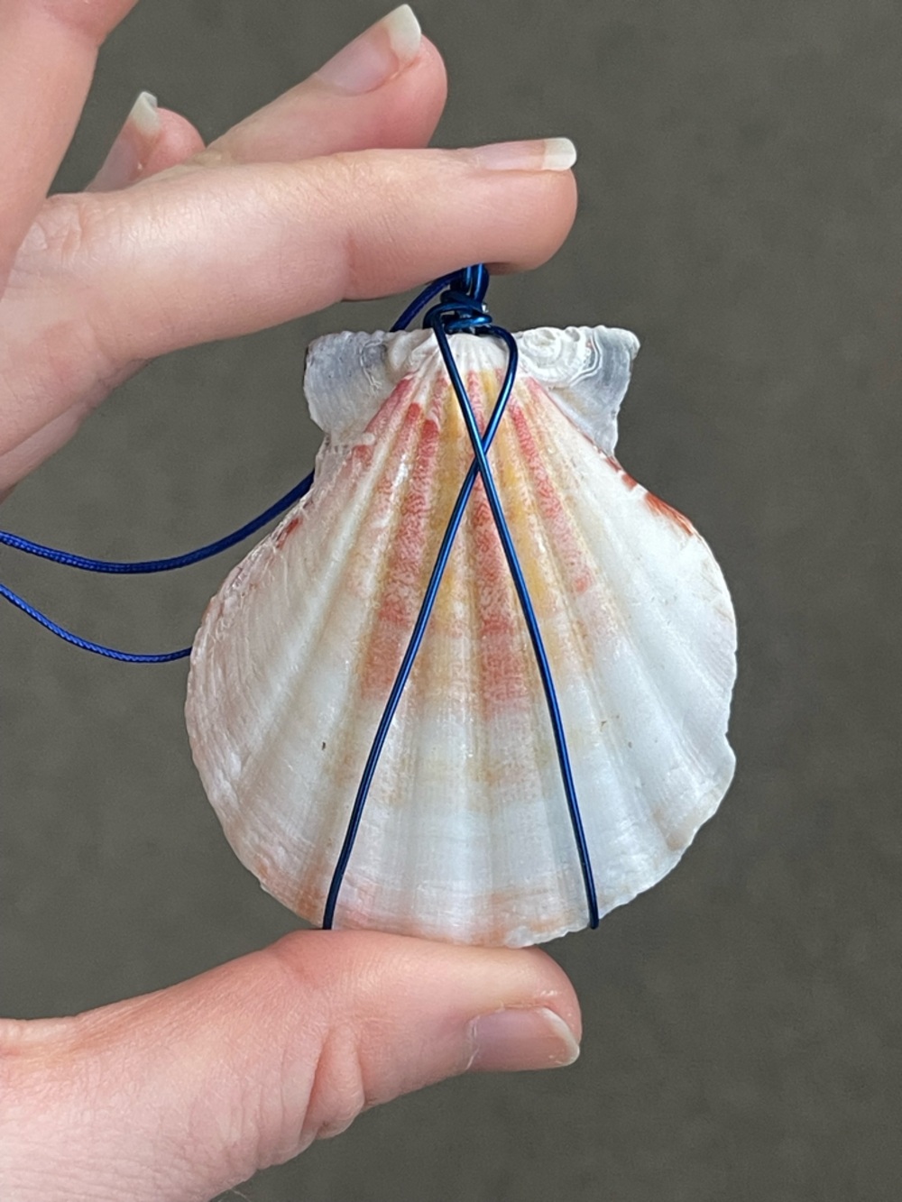 Handheld Scallop Shell Necklace with Blue Cord